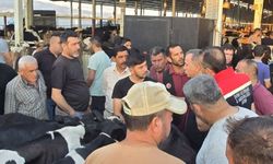 Aydın’da hayvan pazarlarında sıkı denetim