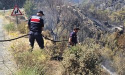 Aydın Jandarmasından cansiparane müdahale