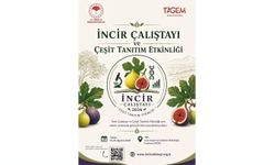 Aydın’da incir için tarihi çalıştay! Türkiye’nin uzmanları buluşuyor