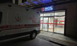 Karacasu'da motosiklet domuz sürüsüne çarptı: Karı koca yaralandı