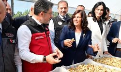 Başkan Çerçioğlu’ndan incir için özel tarif; “Zeytinyağına banıp ceviz koyun”