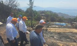 Bayraktar, Çine'de yangından etkilenen alanları inceledi