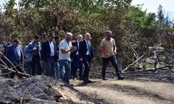 Çine’de yangının yaraları sarılıyor: Bakan Yardımcısı Bulut sahada