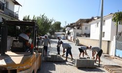 Didim Belediyesinden Denizköy’de kapsamlı çalışma