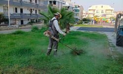 Didim'de Dört Koldan Çalışma: Yeşil Alanlar ve Yol Kenarları Temizleniyor