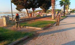 Didim Belediyesi'nden yeşil alanlarda bakım ve düzenleme çalışması