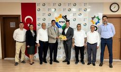 İncirde aflatoksine UV’li önlem