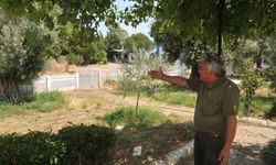 Kanseri yendi, atıl araziyi cennete çevirdi