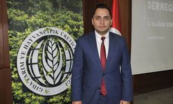 Koca, "Ne yapalım incir ağaçlarını da mı sökelim"