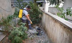 Kuşadası Belediyesi halk sağlığı için sahada