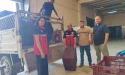 Nazilli’de incir üreticilerine destek