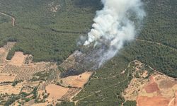 Sarıbaş, “Son alev sönene kadar mücadele sürecek”