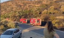 Söke’deki orman yangını kontrol altına alındı