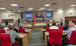 Bozdoğan'da 45 mahalle için tarihi karar