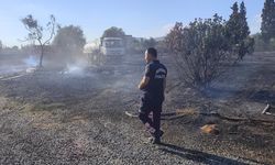 Aydın’da 60 dönümlük zeytinlik kül oldu