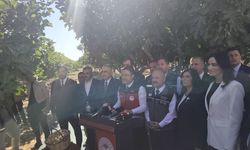 Bakan Yumaklı Aydın’da: İncirde 94 bin ton kuru incir rekoltesi beklentisi