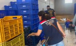 Aydın'da 20 milyon değerinde 25 ton etiketsiz kuru incir ele geçirildi