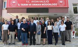 Avrupa Birliği Aydın incirini mercek altına aldı