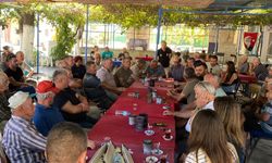 Zeytin fiyatına tepki: Akköy’de 10 gün hasat yapılmayacak