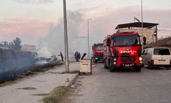 Aydın'da yerleşim yerlerine yakın bölgede çıkan yangın korkuttu