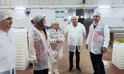 Aydın’ın sarı altını incir için denetimler sıklaştırıldı
