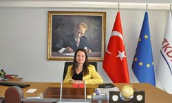 Aydın inciri için kritik çağrı
