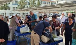 Didim Belediyesi öncü oldu; zeytin üreticileri pazara kavuştu