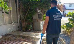 Didim Belediyesi sinekle mücadeleyi sahada sürdürüyor