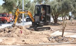 Didim Belediyesi "Zeytinpark" projesinde sona gelindi
