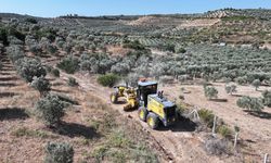 Didim Belediyesinden reform arazilerinde yol çalışması