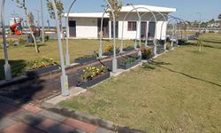 Didim Belediyesi'nden yeşil hamle