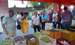 Didim Zeytin Festivalinde Dünya rekoruna hazırlanıyor