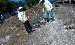 Didim’de bal üretiminde saha çalışması yapıldı