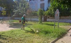 Efeler Belediyesi parklarda bakım çalışmalarını sürdürüyor
