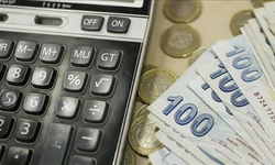 1 milyon TL’si olan dikkat: 32 günlük getirisi 30 bin TL’ye dayandı
