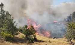 Karacasu'daki yangının bilançosu belli oldu: Türbinler yanıyordu