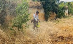 Karacasu Belediyesi’nden okul bahçelerine yeni dönem bakımı