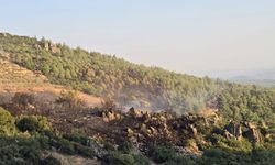 Karacasu - Bozdoğan sınırında orman yangını: 5 helikopterle müdahale edildi