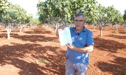İncir üreticisini mağdur eden yol tozu