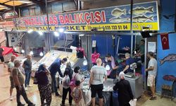 Nazilli'de balık sezonu başladı :Palamutta bolluk var