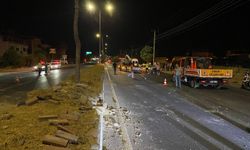 Nazilli'de kontrolü kaybedip refüje çarptı; 2 yaralı