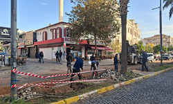 Didim'in en işlek caddesinde aydınlatma sorunu çözülüyor