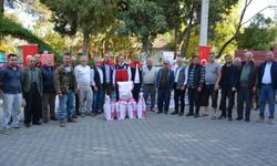 Çine’de 5,5 tonluk yem bitkisi tohumu desteği