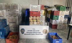 Aydın’da gıda denetiminde milyonluk bilanço! Tonlarca ürüne el konuldu
