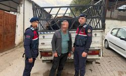 Aydın’da hayvan hırsızlığına tutuklama