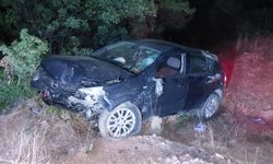 Aydın'da otomobil tarlaya uçtu