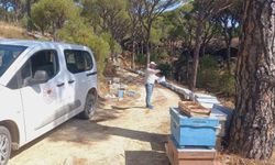 Bozdoğan’da arılı kovan desteği için sahada tespit çalışması