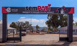 Efeler’in yeni hayvan bakımevinde sona gelindi