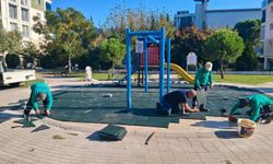 Efeler’de park ve yeşil alanlar bakıma alındı