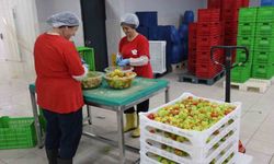 Efeler’in yöresel ürün çeşitliliği 63’e yükseldi